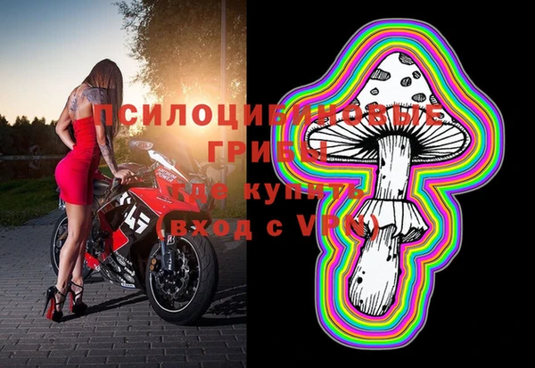 кокс Аркадак